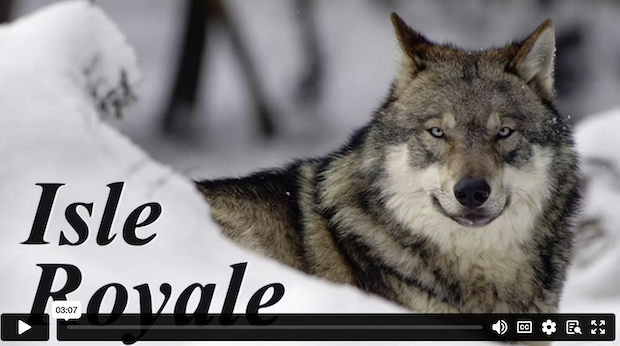 Isle Royale demo video