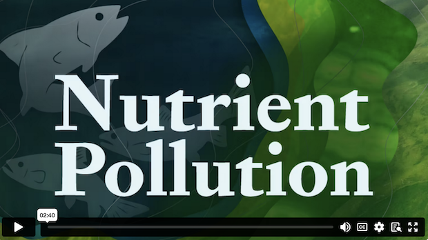 Nutrient Pollution demo video