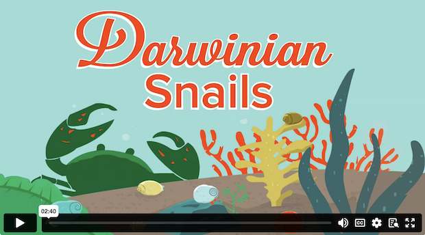 Darwinian Snails demo video