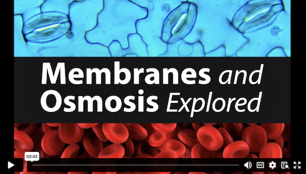 Membranes and Osmosis Explored