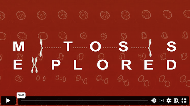Mitosis Explored SimBio tutorial