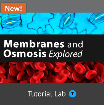 Membranes and Osmosis