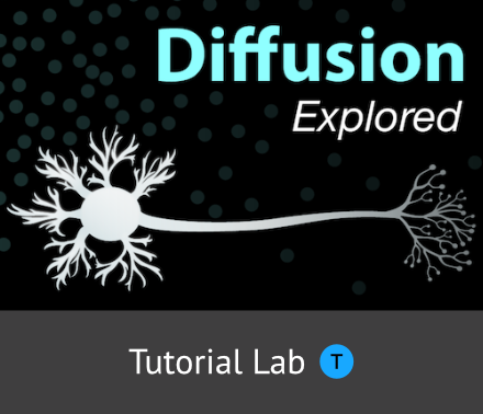sals_diffusion