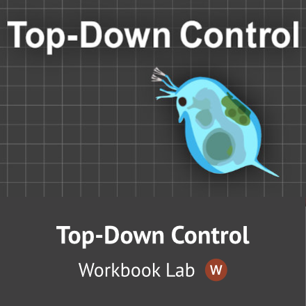 Top-Down Control