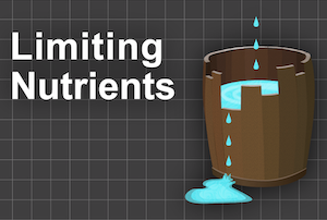 Limiting Nutrients workbook lab