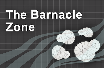 The Barnacle Zone workbook lab