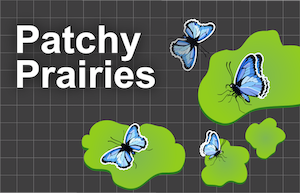 Patchy Prairies workbook lab