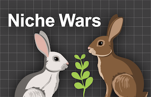 Niche Wars Workbook Lab