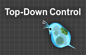 Top-Down Control workbook lab