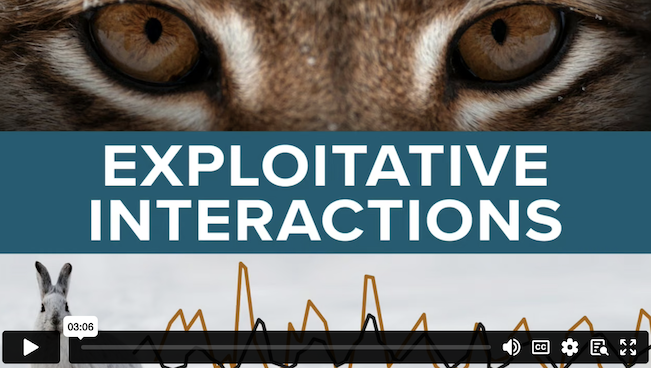 Exploitative Interactions demo video