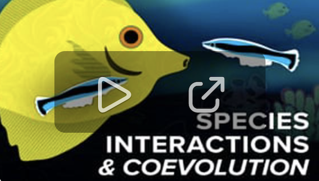 Species Interactions and Coevolution demo video
