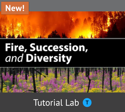 Fire, Succession, and Diversity tutorial lab