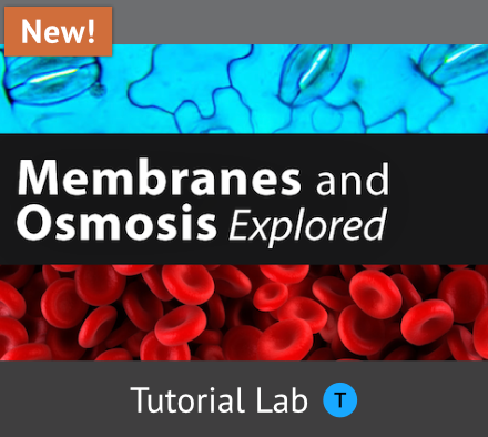 Membranes and Osmosis tutorial