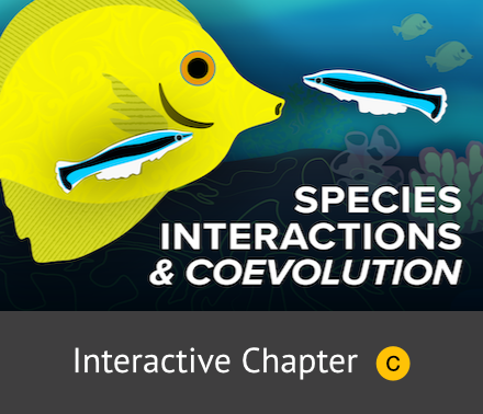 Species Interactions and Coevolution